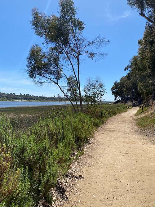 Batiquitos Lagoon Trail
