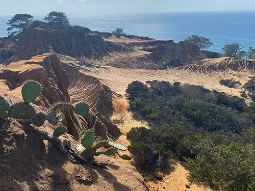 Torrey Pines State Beach