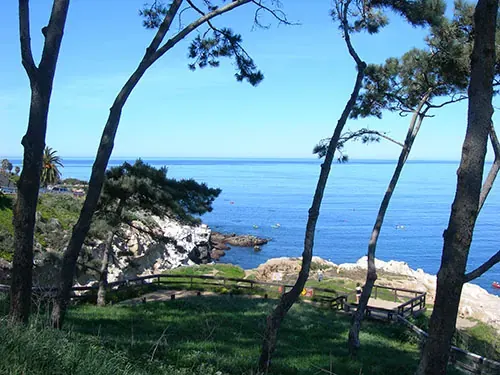 Coast Walk Trail
