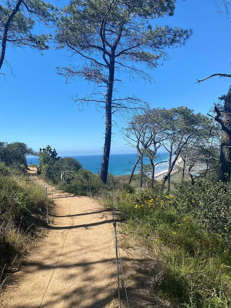 Torrey Pines Reserve Trails